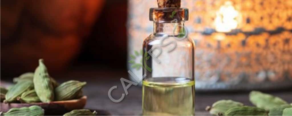 Cardamom Natural Oil